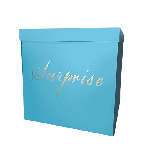 Surprise Boîte Bleu - Borosino - FDS