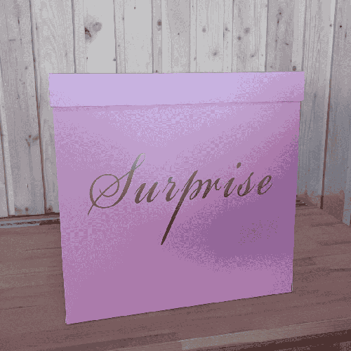 Boîte Surprise Rose- Borosino - FDS