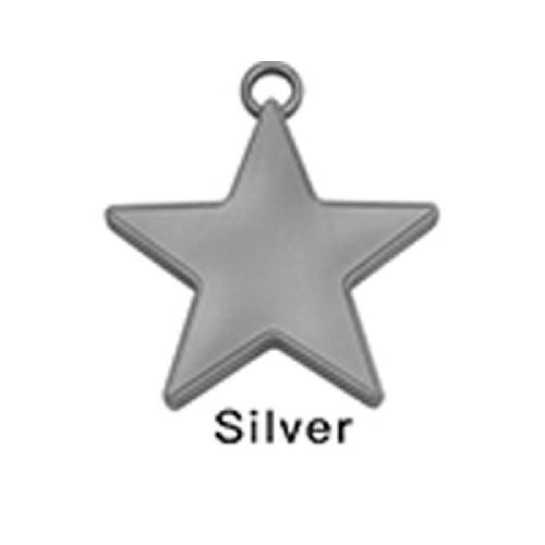 100 Lest Étoile 8G Argent – Borosino - FDS