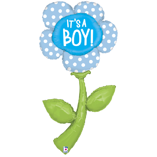 Fresh Picks It's a Boy 5' - Grabo