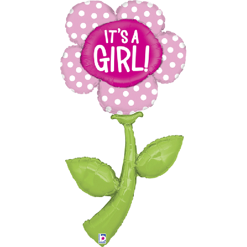 Fresh Picks It's a Girl 5' - Grabo