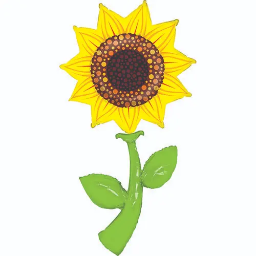 Tournesol Fresh Pick 5' - Grabo