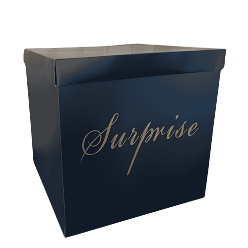 [B510B] Boîte Surprise Noir - Borosino - FDS