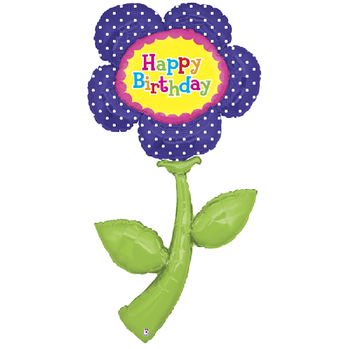 [G35027-P] Fresh Picks Birthday 5' - Grabo