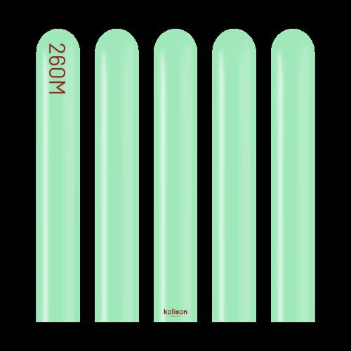 [10223361] 260 Modelling Standard Mint Green 100Ct - Kalisan