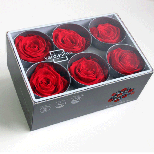 [385652SEC45] Box of 6 Eternal Red Roses