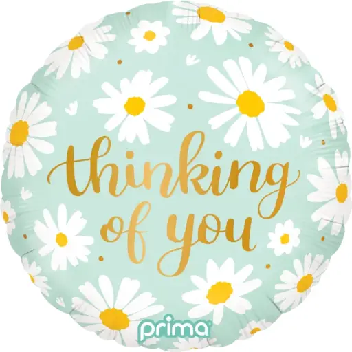 [PF-0064-18] 1 alu 18" Thinking of You Daisies - Prima